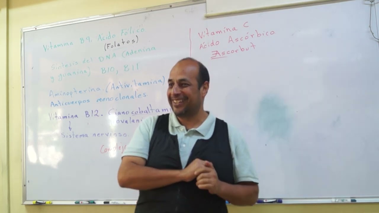 Función de las vitaminas en el cuerpo (3/4)