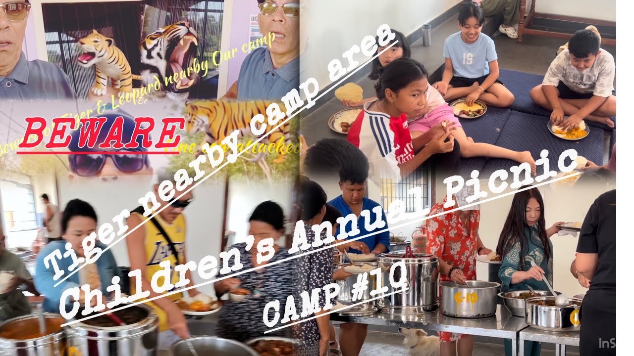 Beware of Tiger 🐅 roaming nearby TDL CAMP 10,11 & 12#Camp Kids Annual 🧺 picnic within own area🗣️🙏🏻