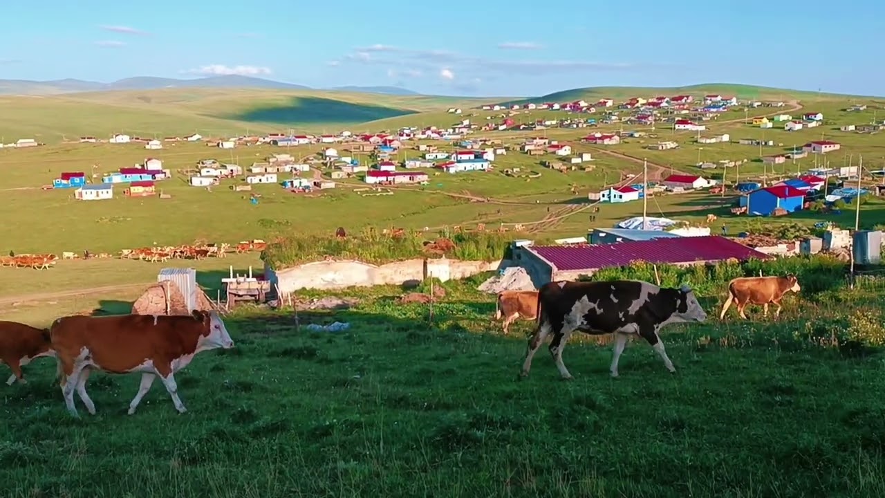 Ortayurt Yaylası