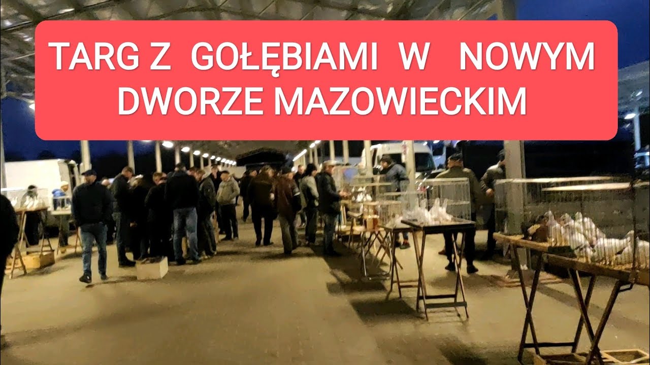 Targ z gołębiami w Nowym Dworze Mazowieckim