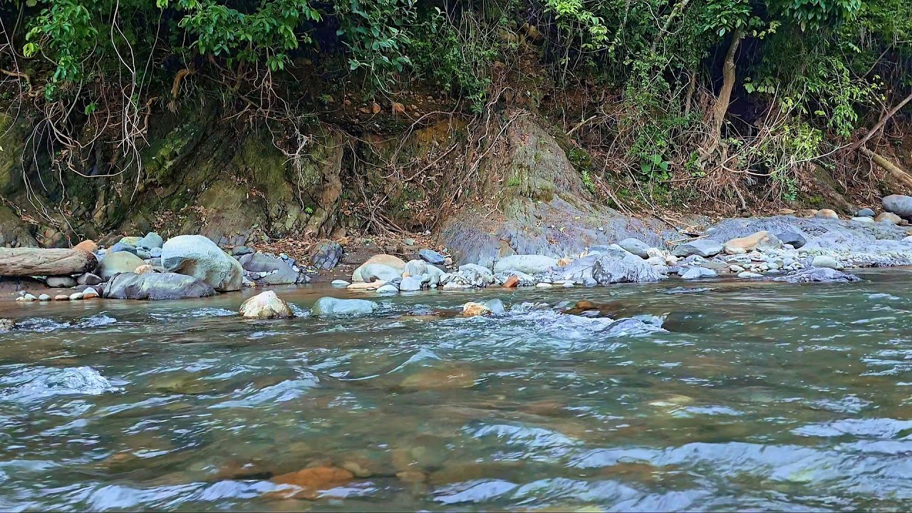 Relaxing River Sounds with Gentle Birds 🕊️ | Peaceful Nature Ambience for Sleep, Study & Relaxation