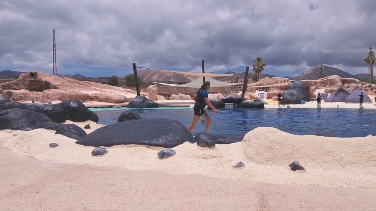 Lanzarote Rancho Texas - Dolphin Show
