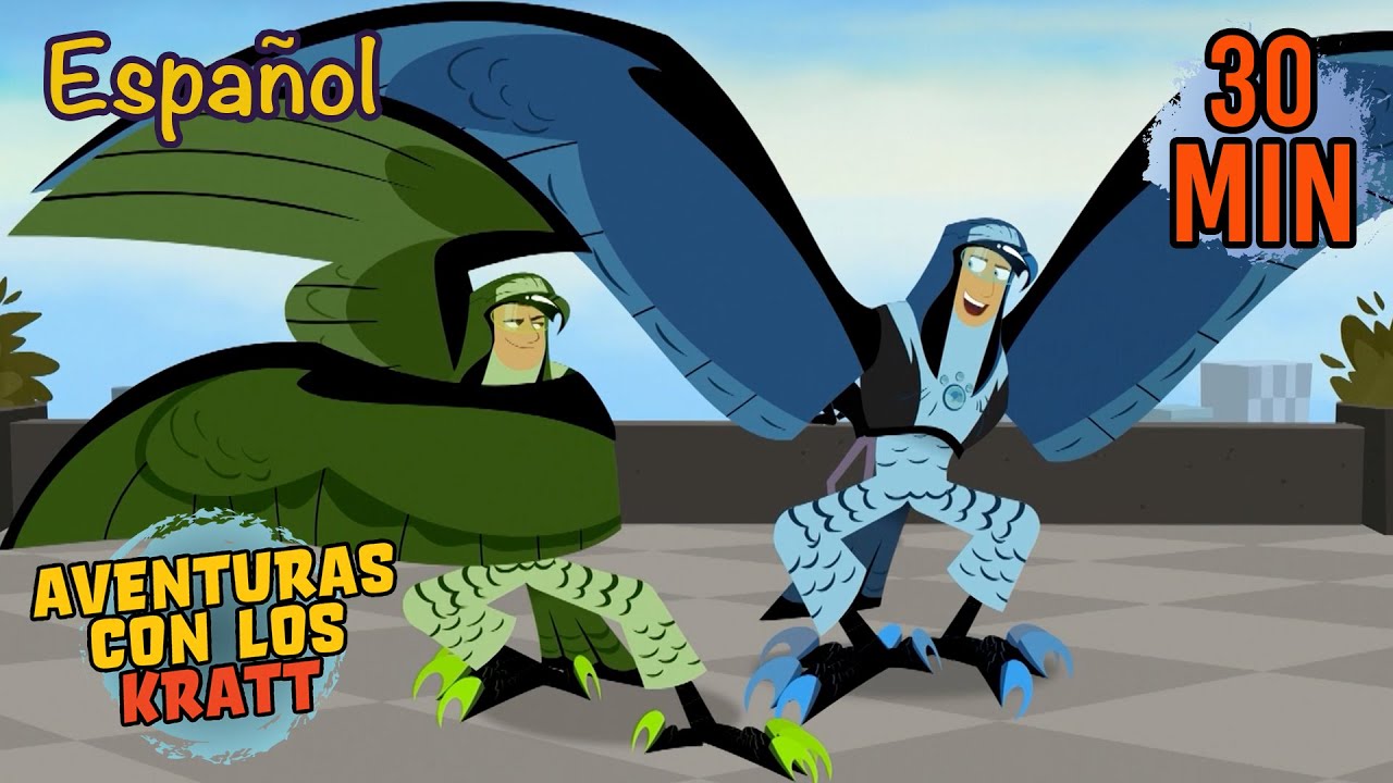 VUELA PAJARITO, VUELA | Halcones y más Aves | Aventuras con Los Kratt