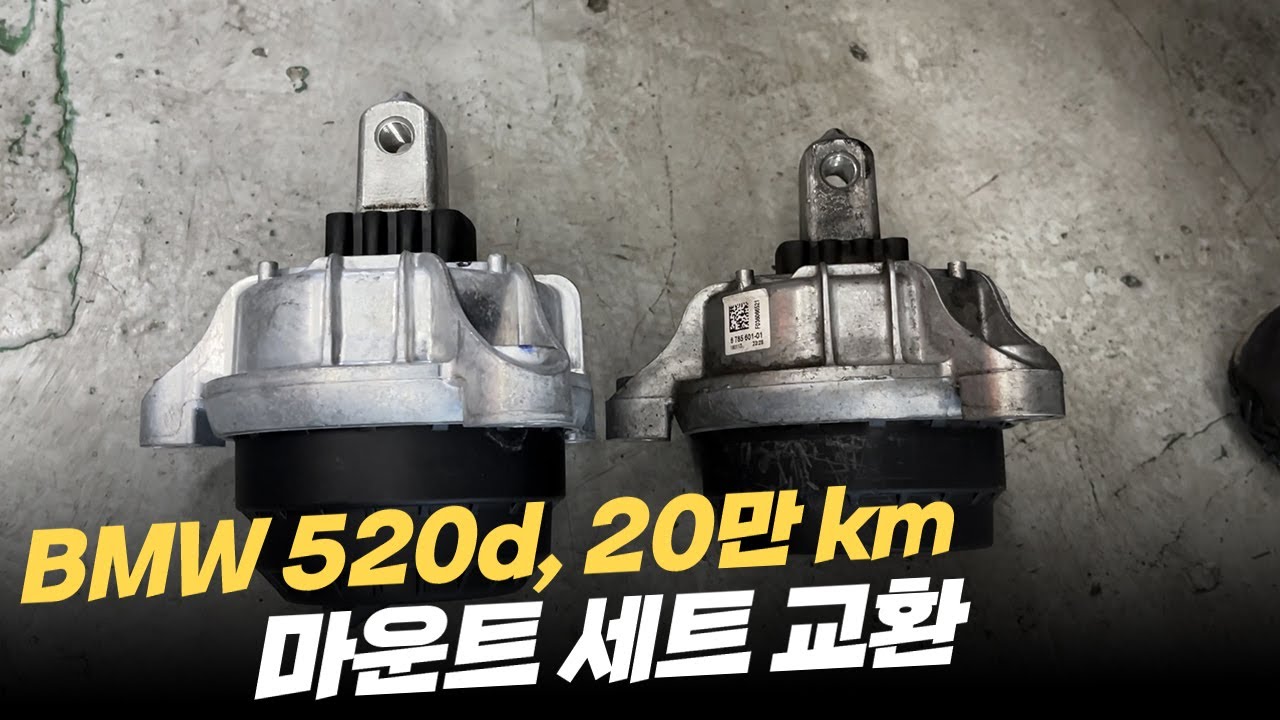 20만km 탄 BMW 520d 진동, 떨림이 너무 심해요..!