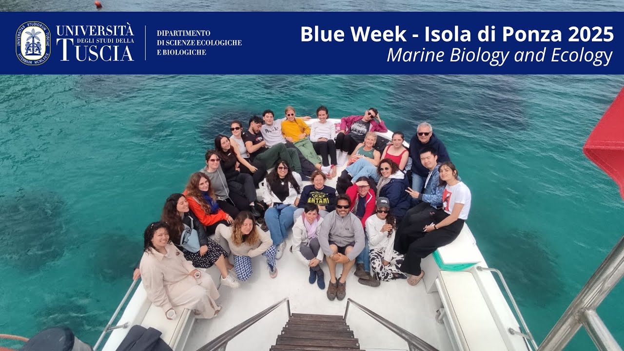 Blue Week 2025 - Isola di Ponza