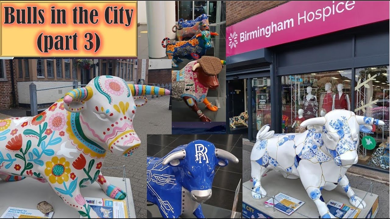 Bulls in the City (part 3)