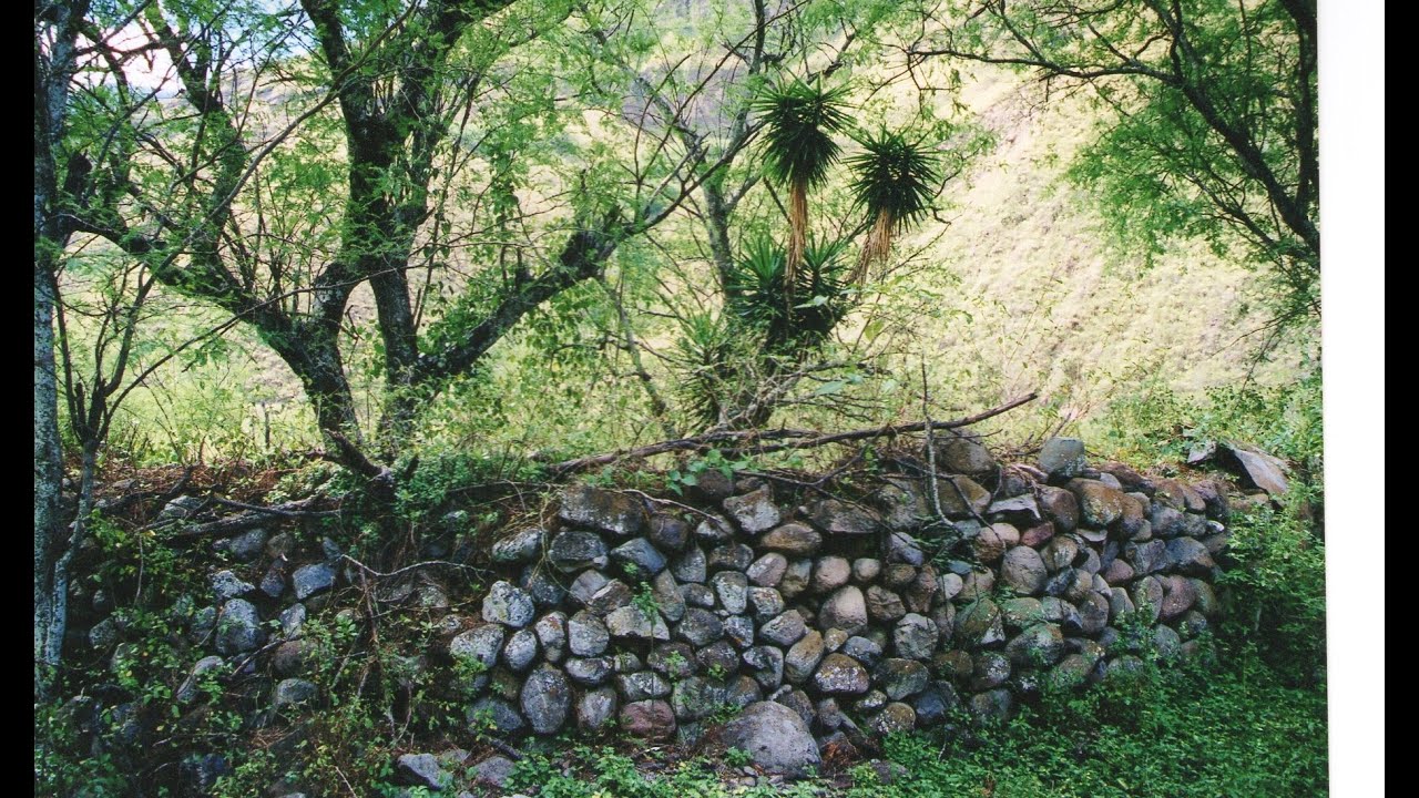 SEGUNDA PARTE CAPAC ÑAN EL VERDADERO CAMINO DEL INCA