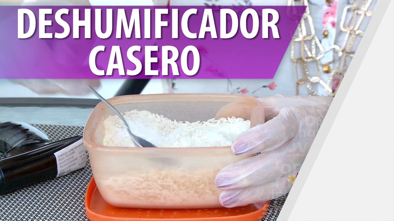 Cómo quitar la humedad de casa - Cosmovision