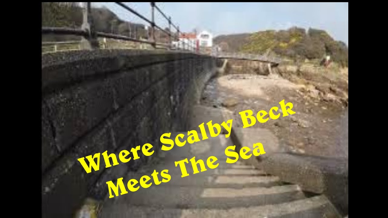 Doggy View of Scalby Beck. #scalby #coast #sea