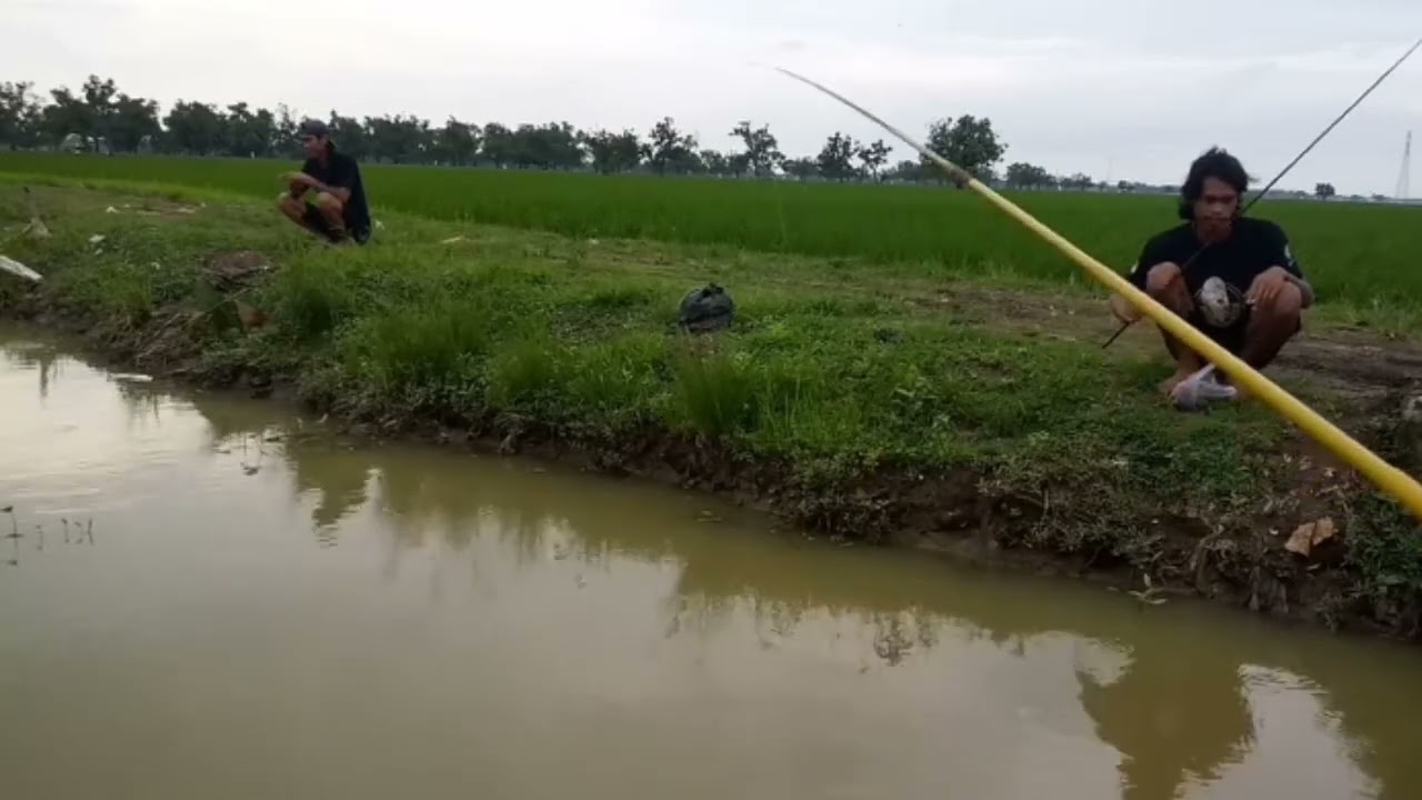 Team Asal Mangkat mancing di Irigasi, Ngabuburit sambil ngopi.