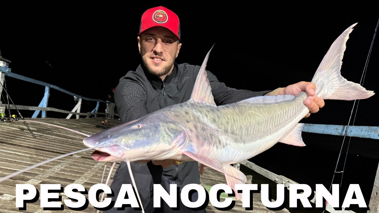 PESCA NOCTURNA EN EL RÍO DE LA PLATA 🎣 PATÍ Y BOGA GRANDE 🔥 MUCHA VARIADA EN ESTE LUGAR 👏🏽