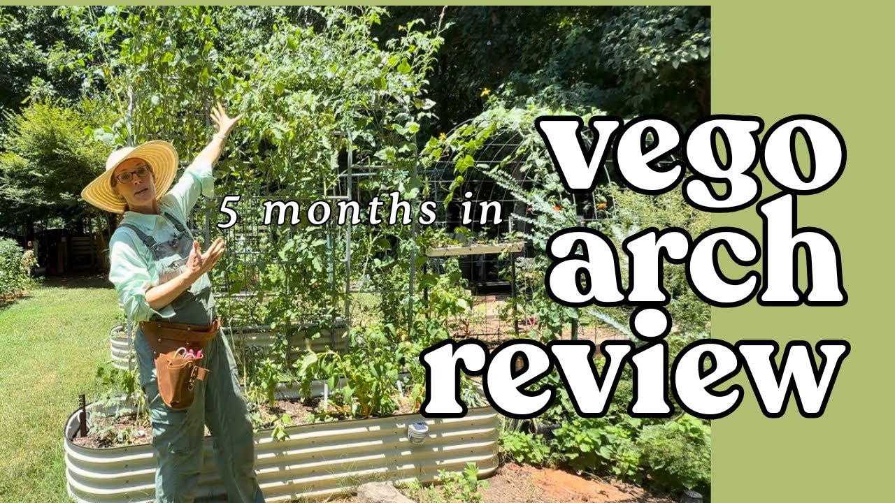 My new favorite garden arch