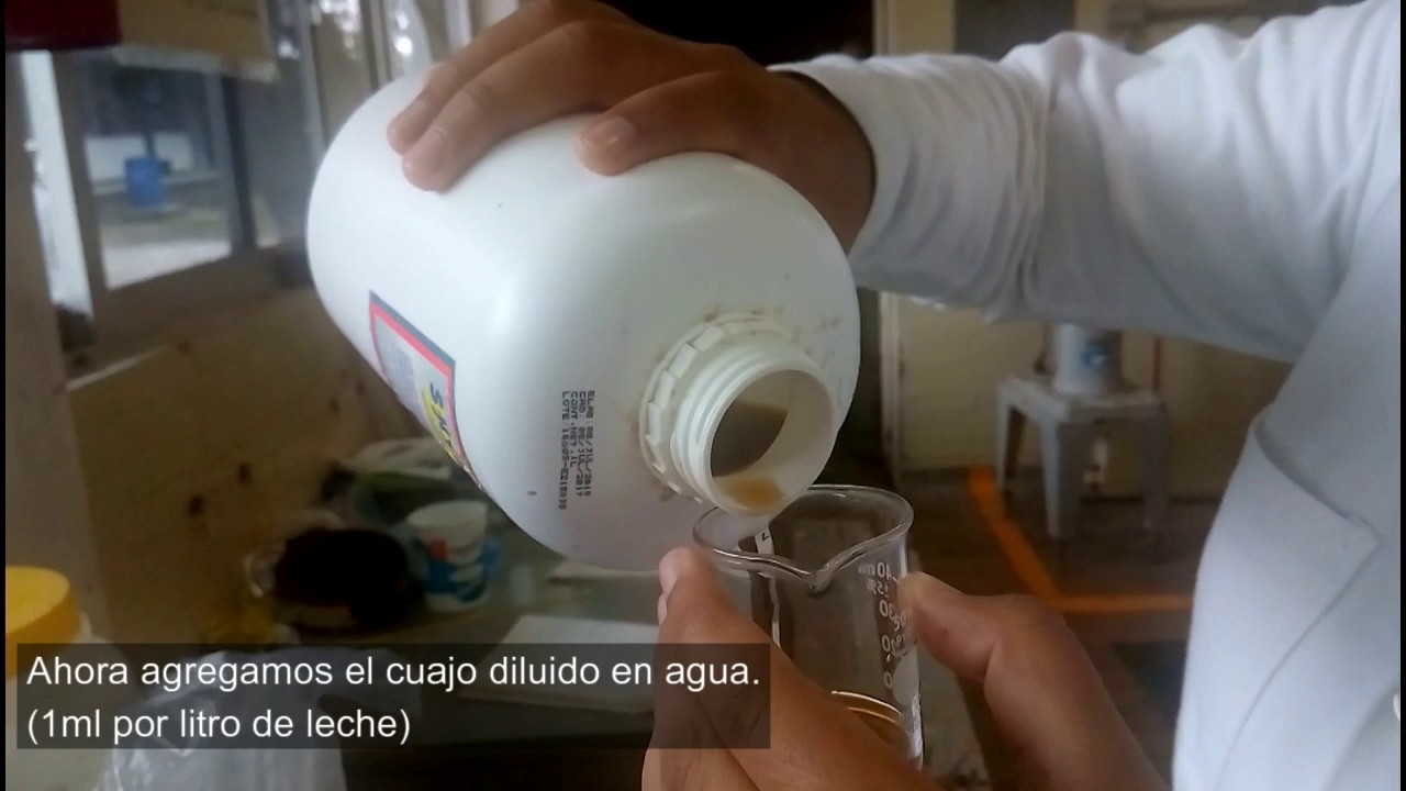 ELABORACION DE QUESO OAXACA 5° A Agrop. Cbta 12