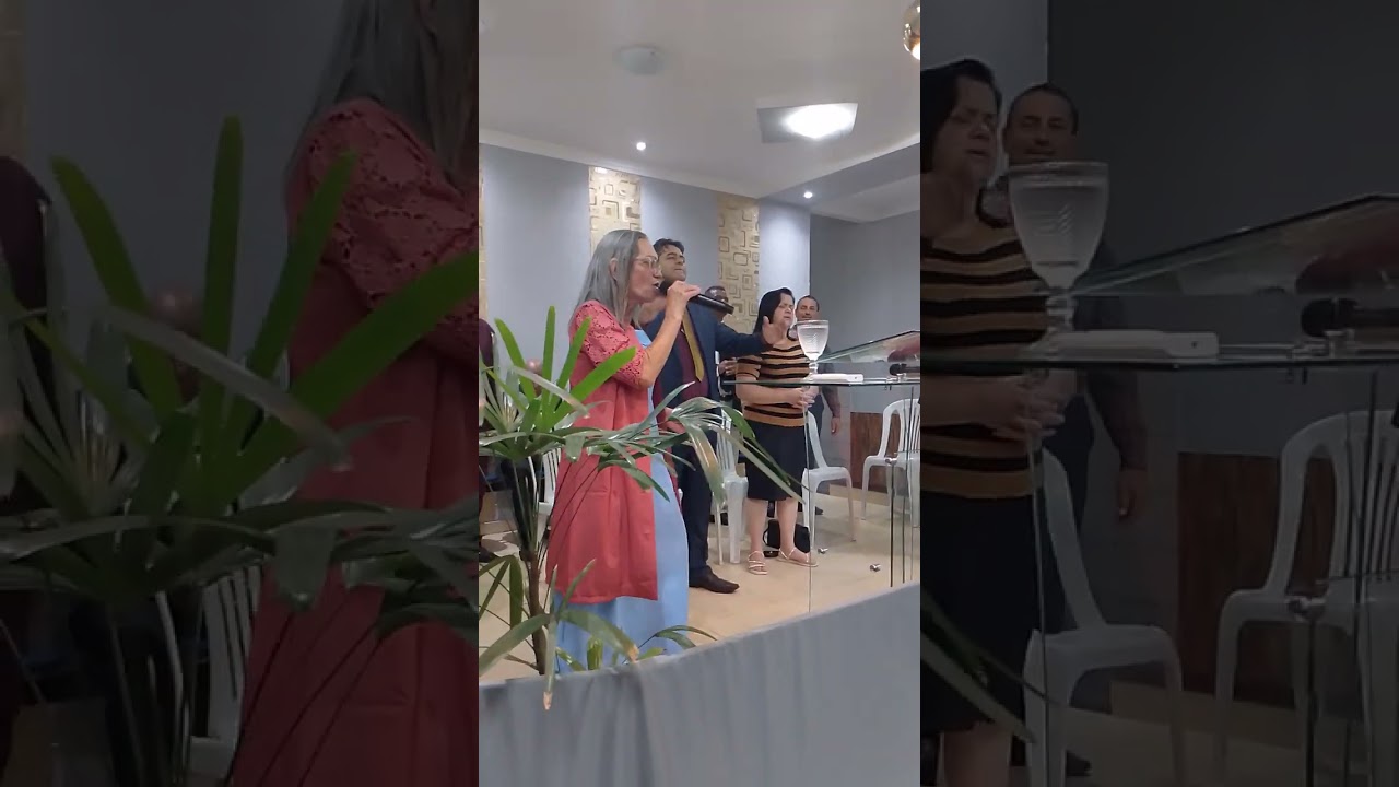 15 de fevereiro de 2026