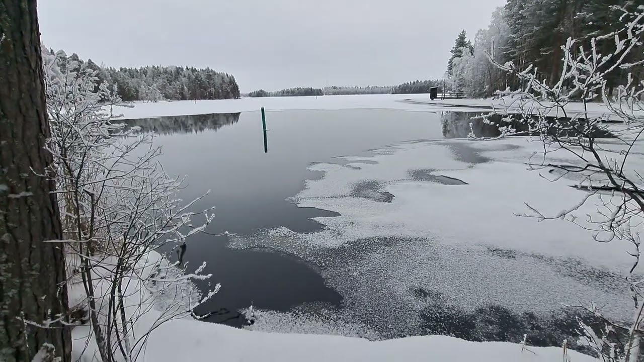 Kissakosken kuuraa