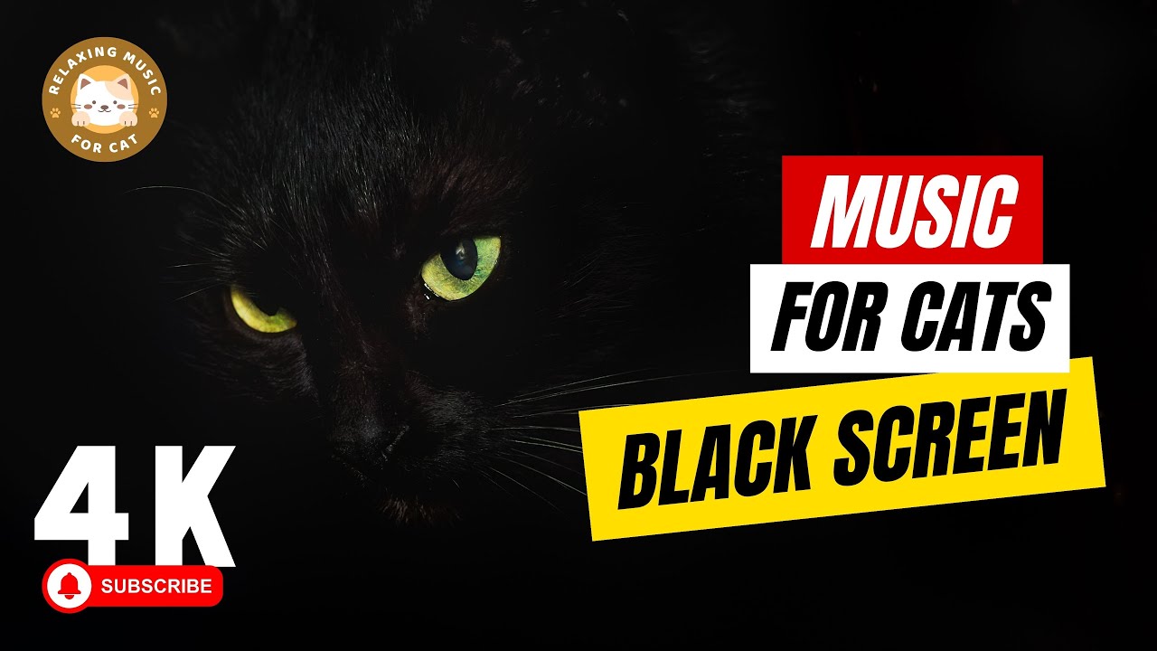 Calming Purring Sleep Sounds on Black Screen 🎶 Relaxing Music for Cat