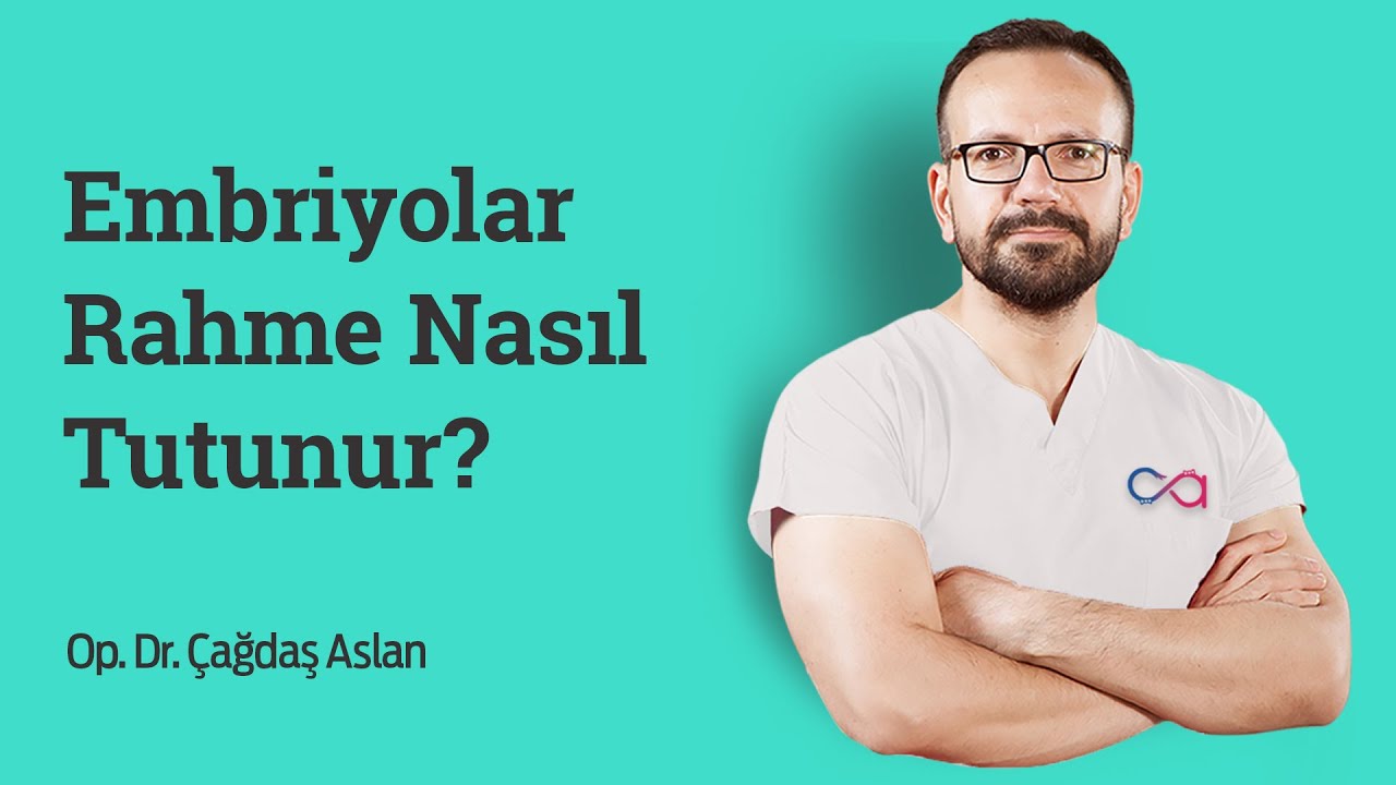 Embriyolar Rahme Nasıl Tutunur?