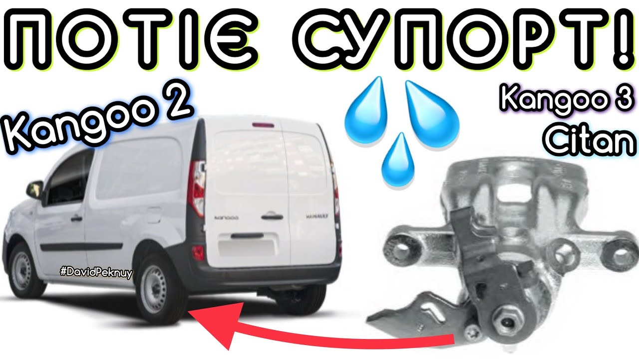 Рено Кенго 2 ПОТІЄ ЗАДНІЙ СУПОРТ. Kangoo 2 rear caliper getting wet 1.5 dci. Kangoo 3. Citan.