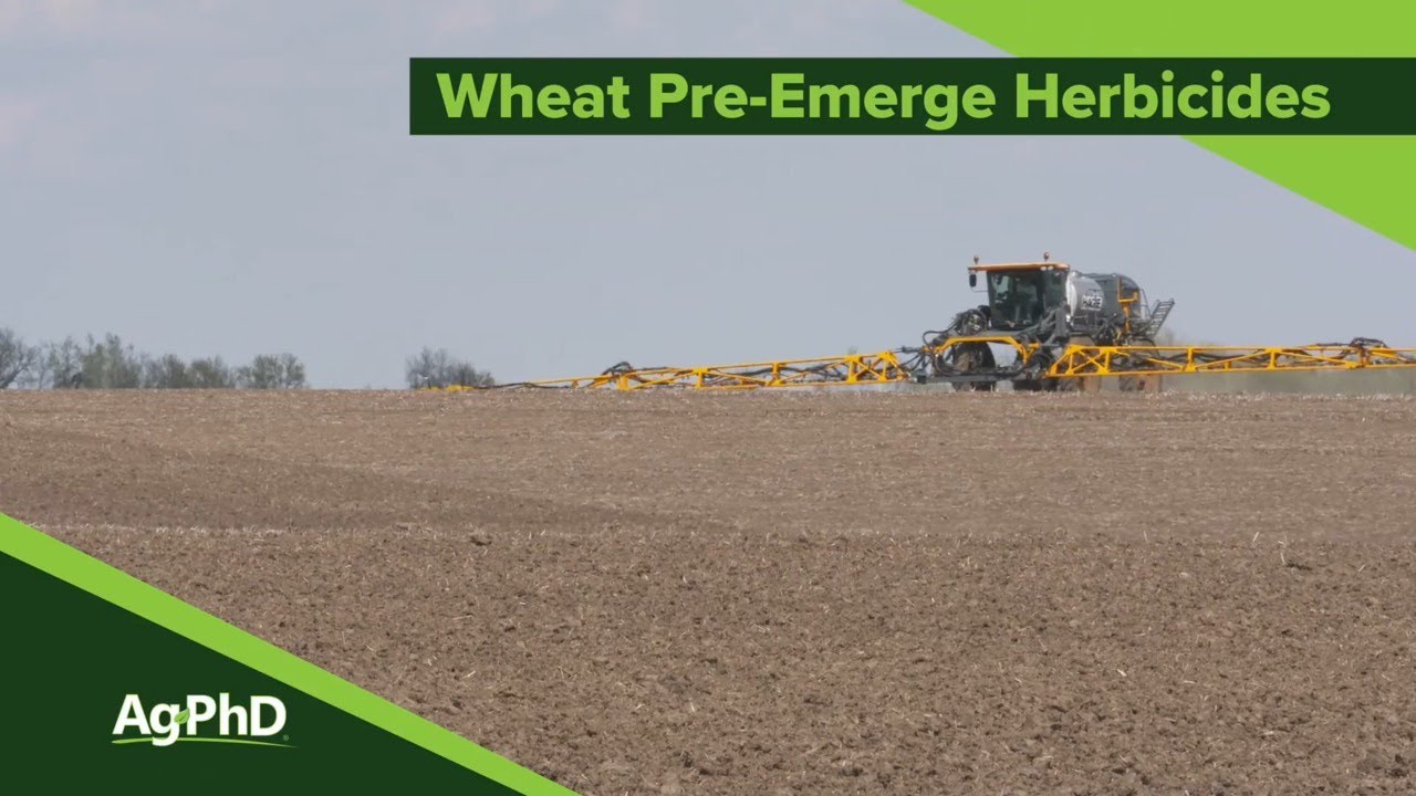 Wheat Pre-Emerge Herbicides (From Ag PhD Show #1144 - Air Date 3-8-20)