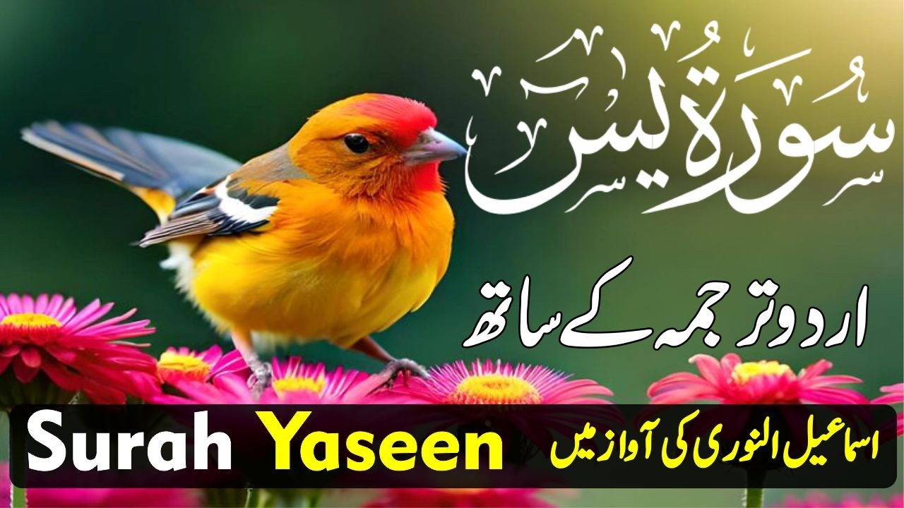 Surah Yasin with Urdu Translation Full | Beautiful Quranic Recitation with Urdu & Hindi Tarjama Ep15