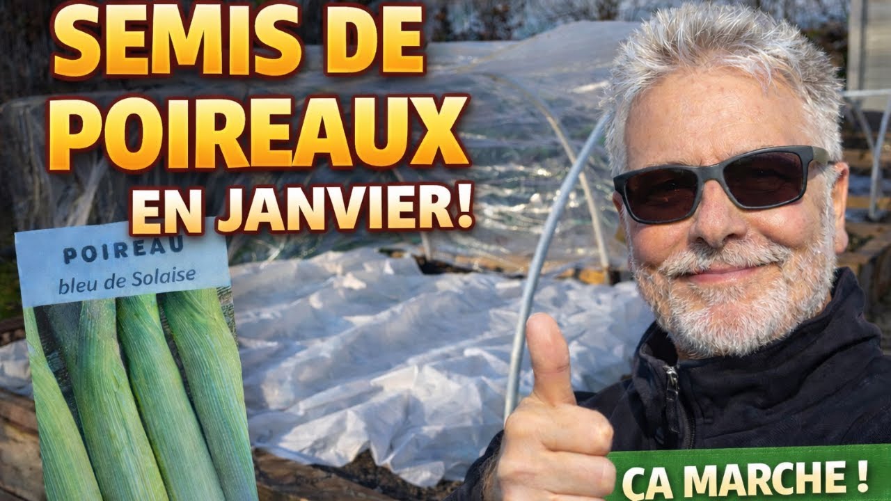 Avoir des poireaux géants : Ma méthode de semis sous tunnel nantais