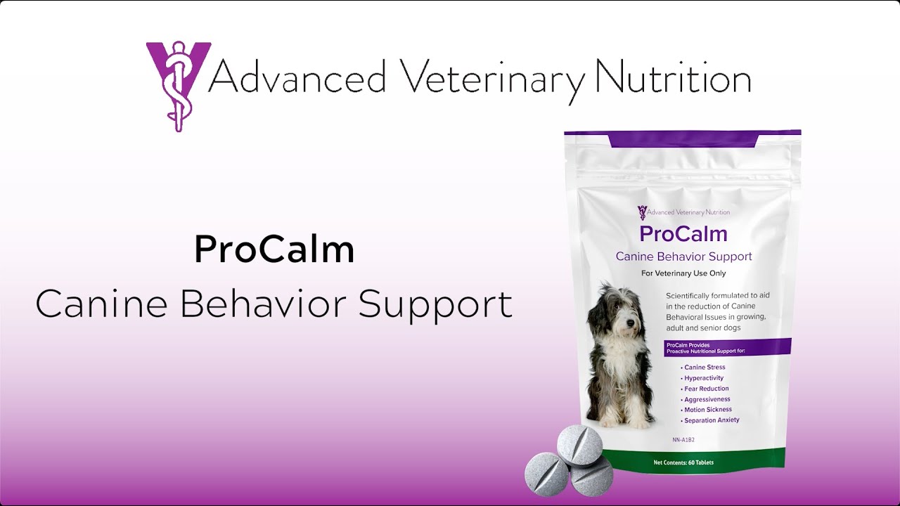 ProCalm | Canine Behavior Support