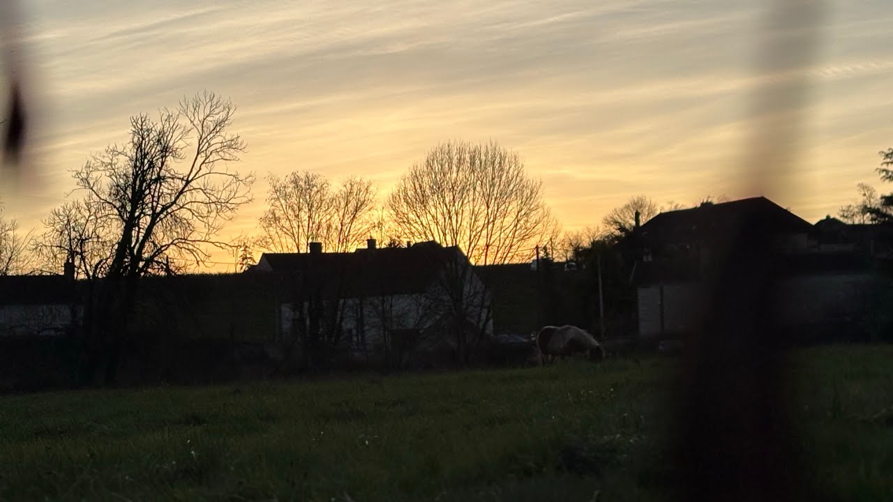 Vlogmas 7 : encore des clôtures…