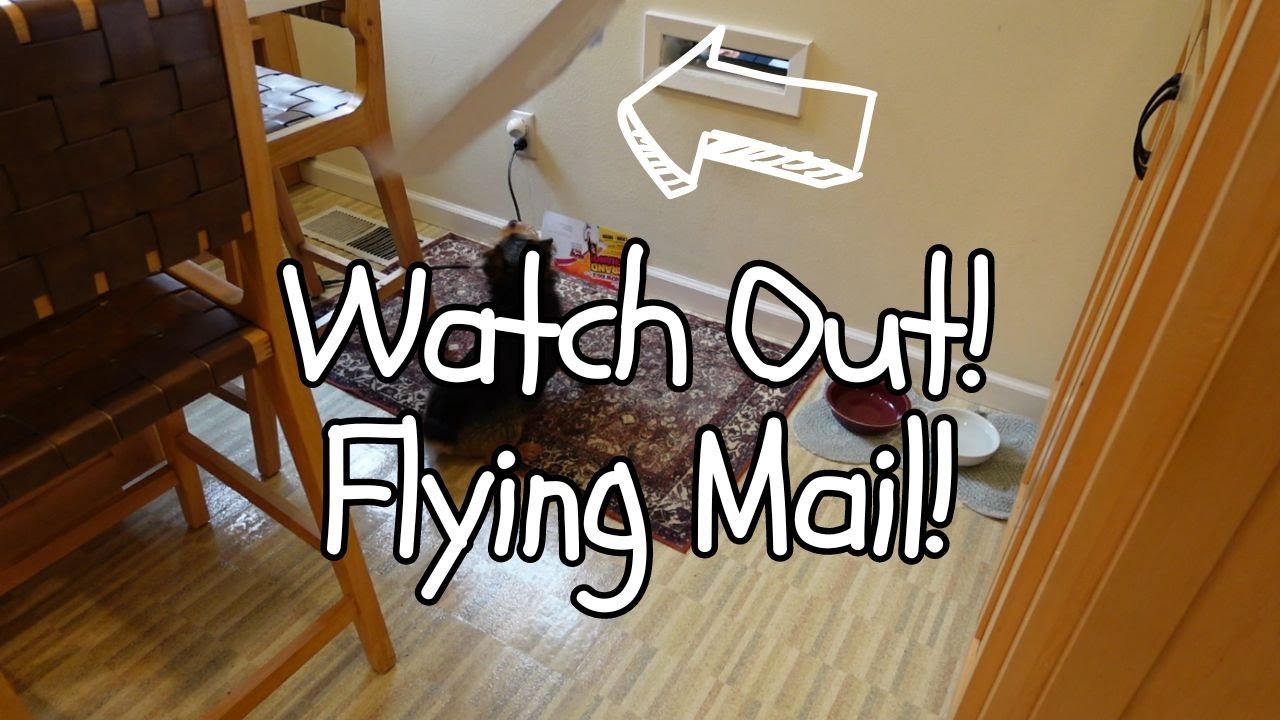 Bernice Launches a Letter!