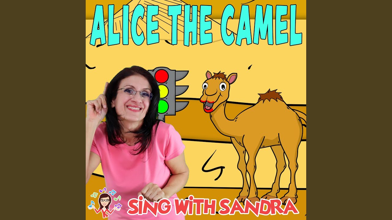 Alice The Camel