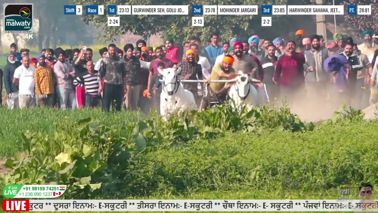 1st Position Today Fastest Time | 22:84 | Mundian | Roper | Ox Races | 18 Jan 2026