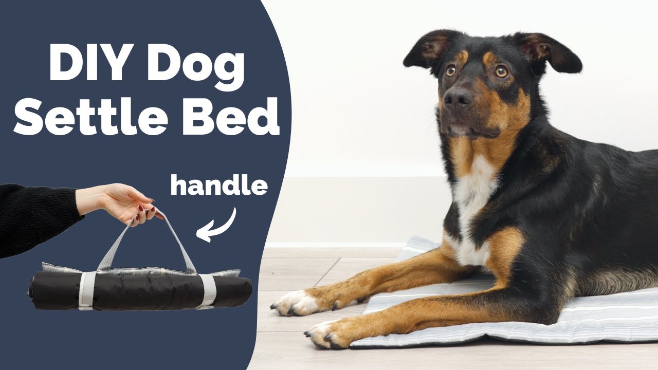 How to make a bed for your Dog | Settle mat for dog training
