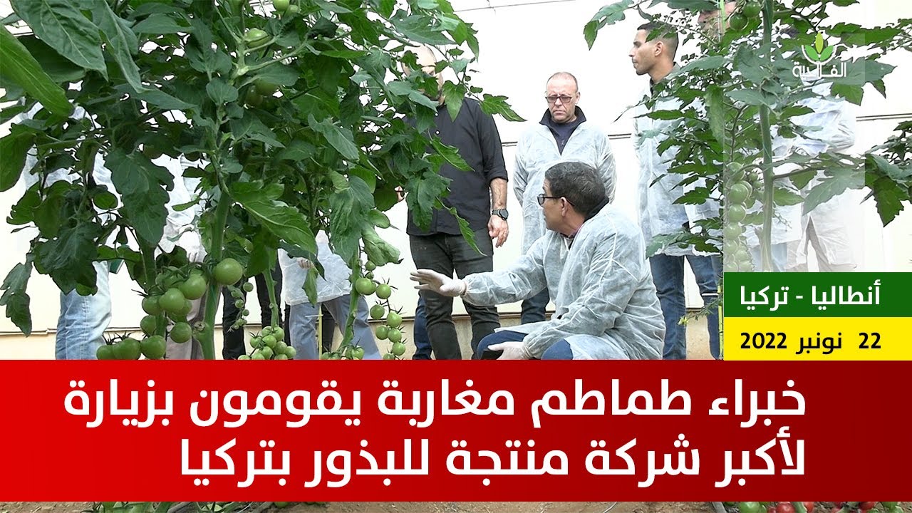 - YUKSEL SEEDS - خبراء الطماطم المغاربة يقومون بزيارة لأكبر شركة منتجة للبذور بتركيا
