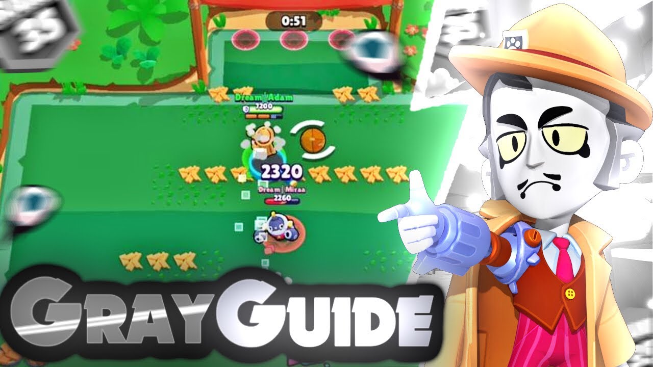 The Only Gray Guide You Will Ever Need
