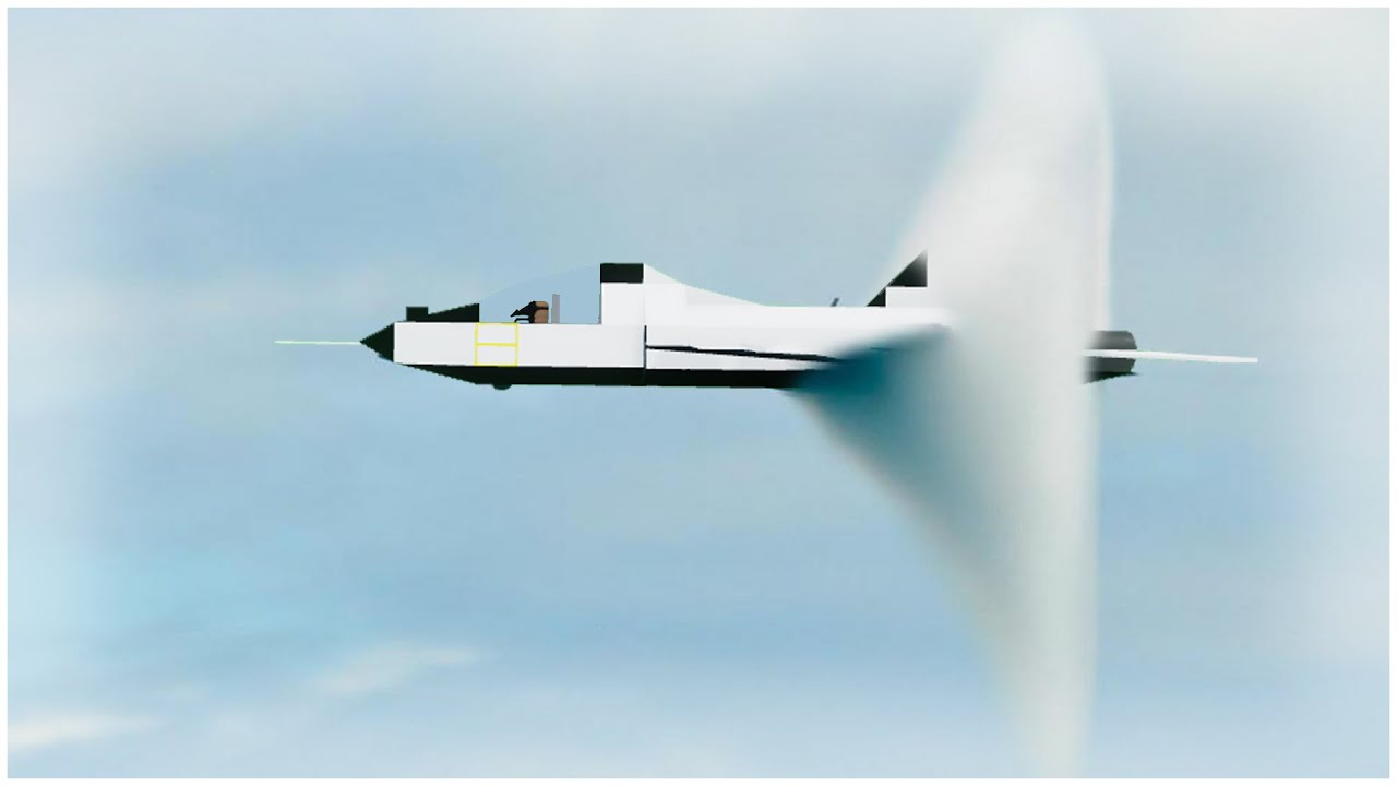 My Friend's Northrop T-38 Talon Review (PLANE CRAZY)