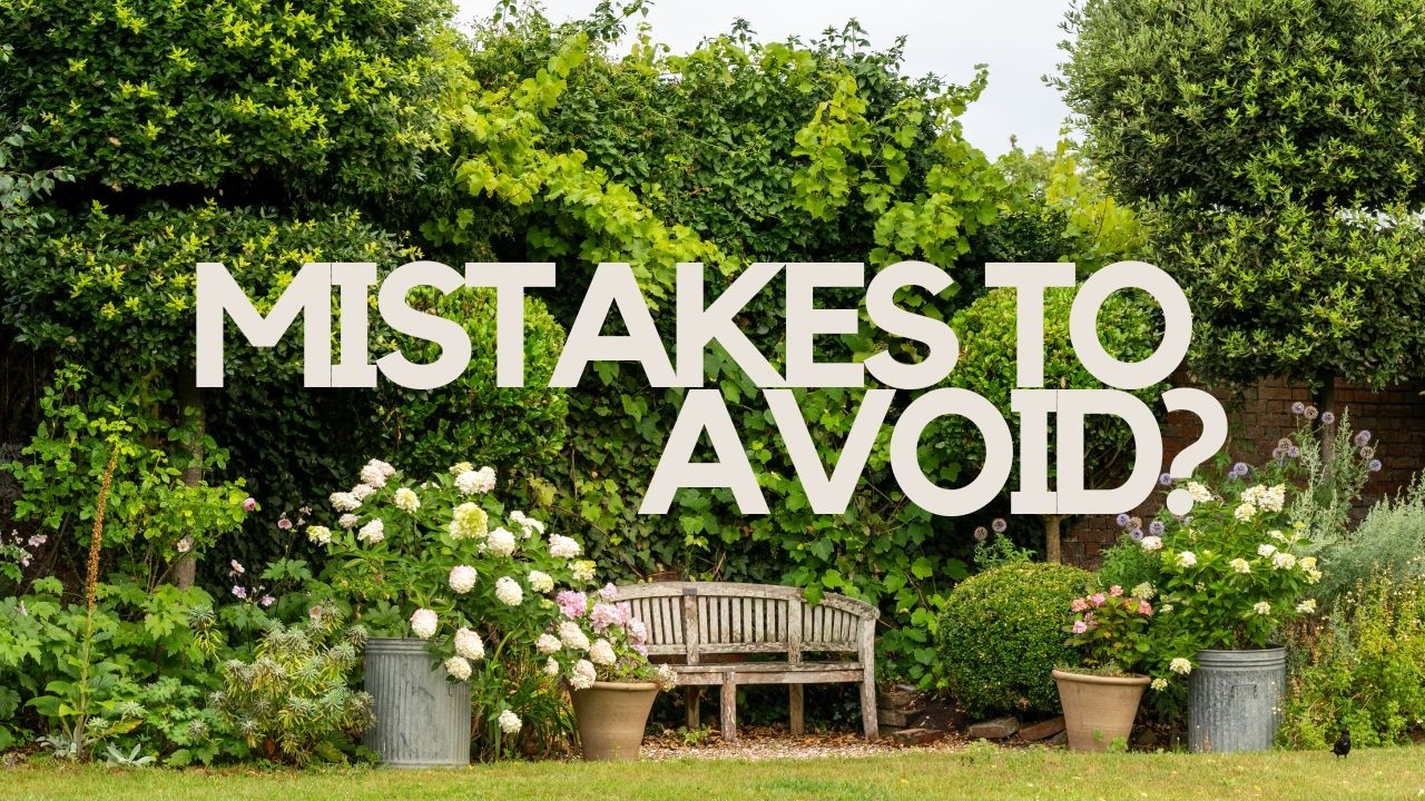 The Truth About My Garden This Summer - Hits & Misses