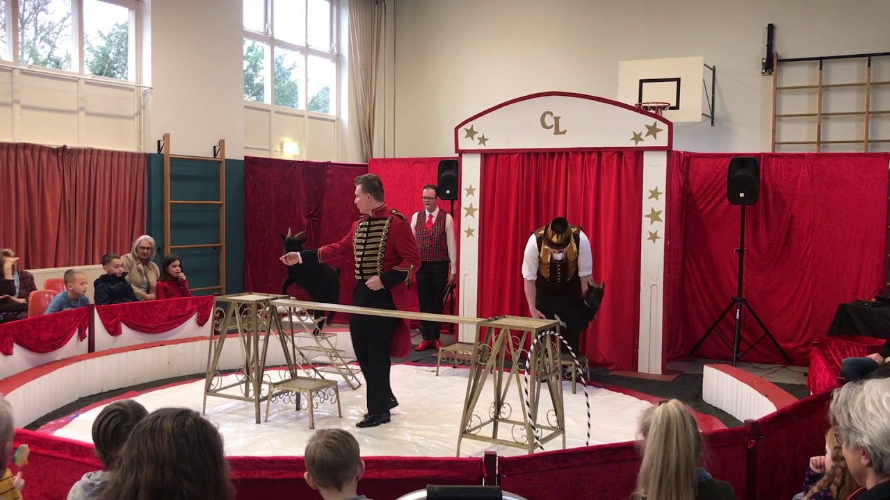 Circus Lorelly “Dwerggeitjes”