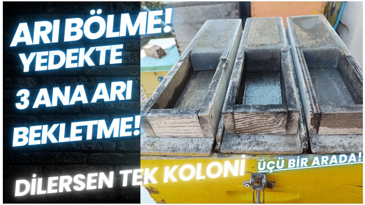 ARI BÖLMEDE KOLAY YÖNTEM/ ANA ARI HER ZAMAN YEDEKTE HAZIR/ ÇOK AMAÇLI BİR KOVAN! İZLE VE İZLET!