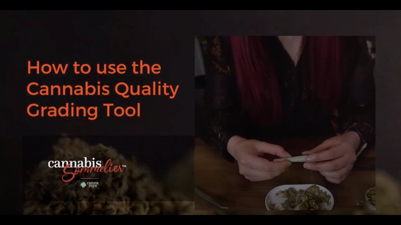 How to grade cannabis flower - a useful tool to determine the score