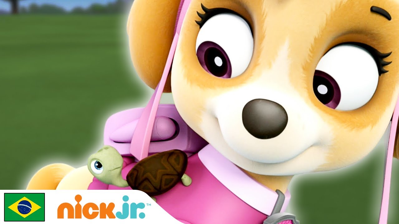 Patrulha Canina | Tarefas educativas - Parte 4 | Nick Jr. em Português