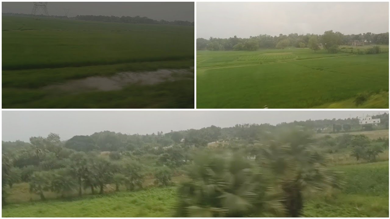 Beautiful nature vlog 
