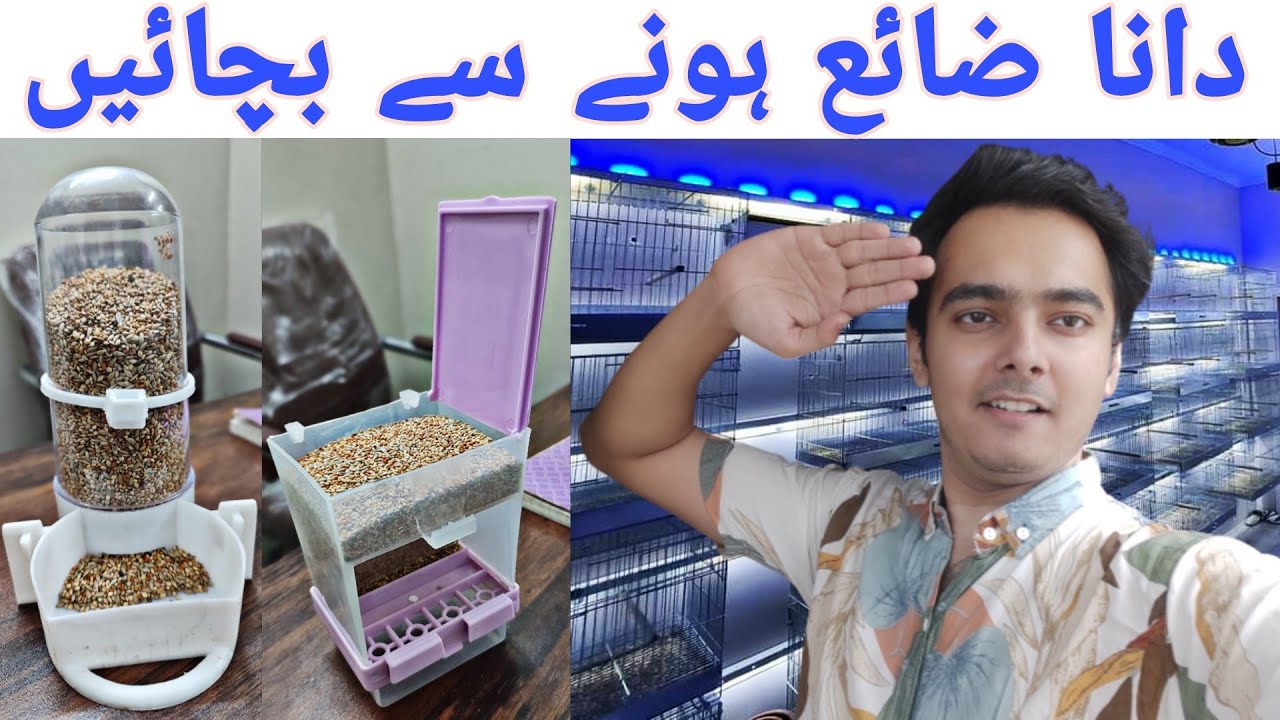 Dana zaya hone se bachaein | Bird seed containers assessory unboxing | Part 716
