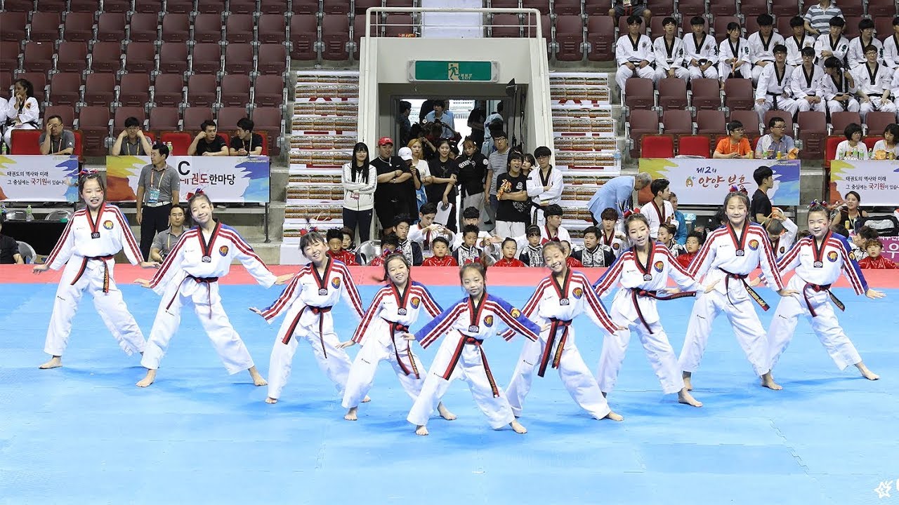 170731 K타이거즈 주니어 태권체조 결선 Burn Break Crash + Happy (K-tigers junior Taekwon Aerobic) [세계태권도한마당] by 비몽