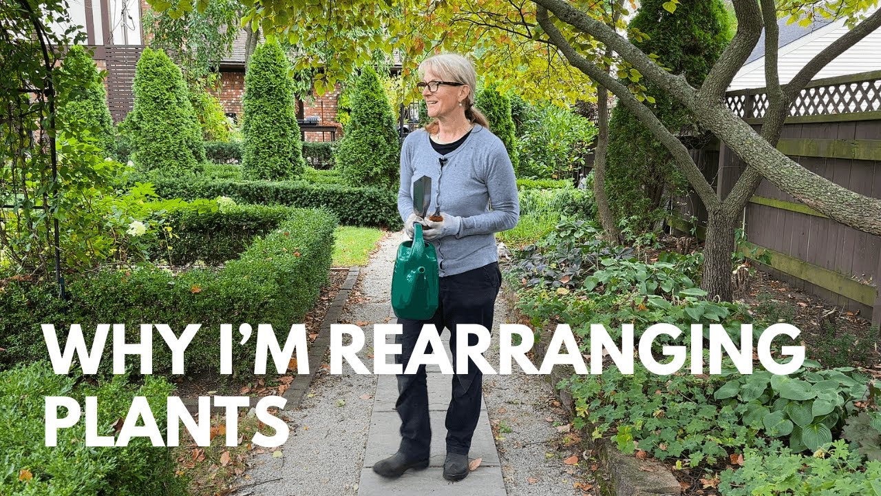 Why I'm Rearranging Plants Now (And Why You Should Too)