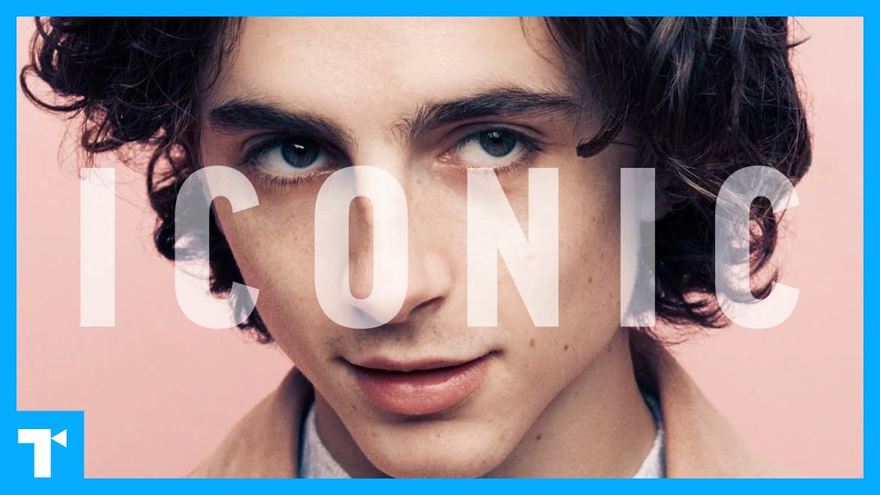 Timothée Chalamet, The 