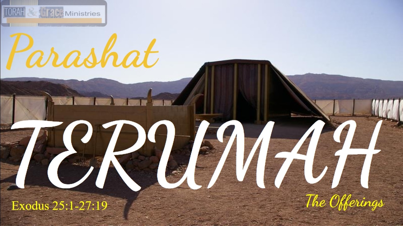 Terumah: The Offerings from the Heart | Building a Place for God's Presence