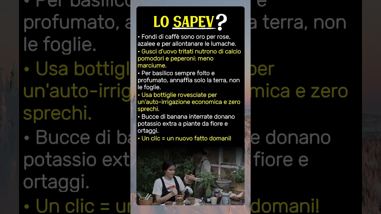 Pollice Verde Facile: I segreti per un orto da sogno!
