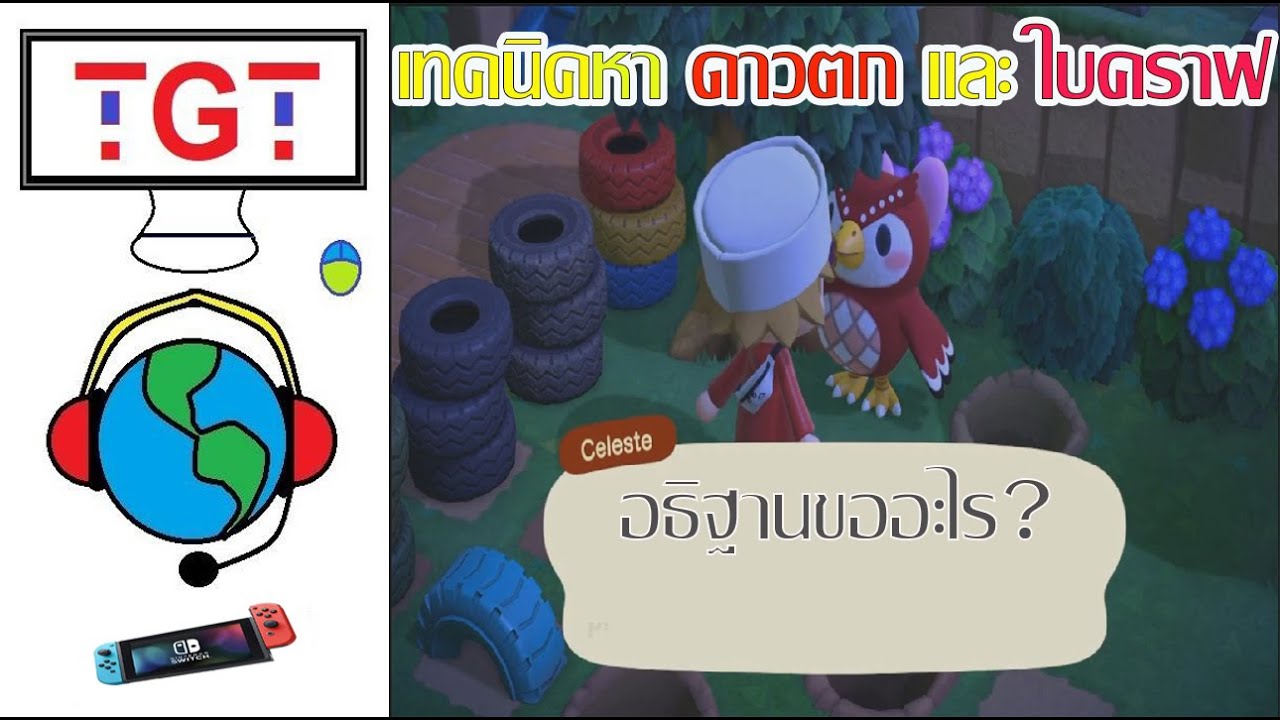 Animal Crossing:สอนหาดาวตกและใบคราฟนกฮูกแดง