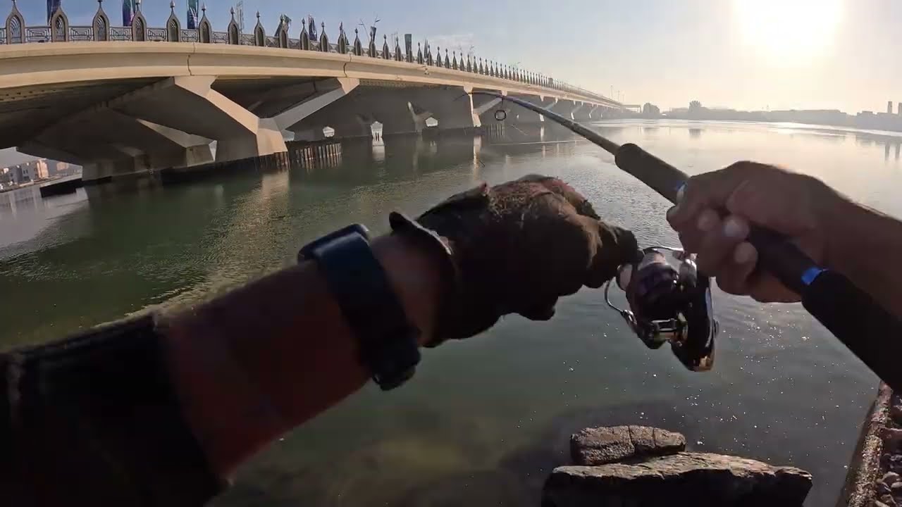 Unexpected Fishes Strike || Abudhabi Fishing