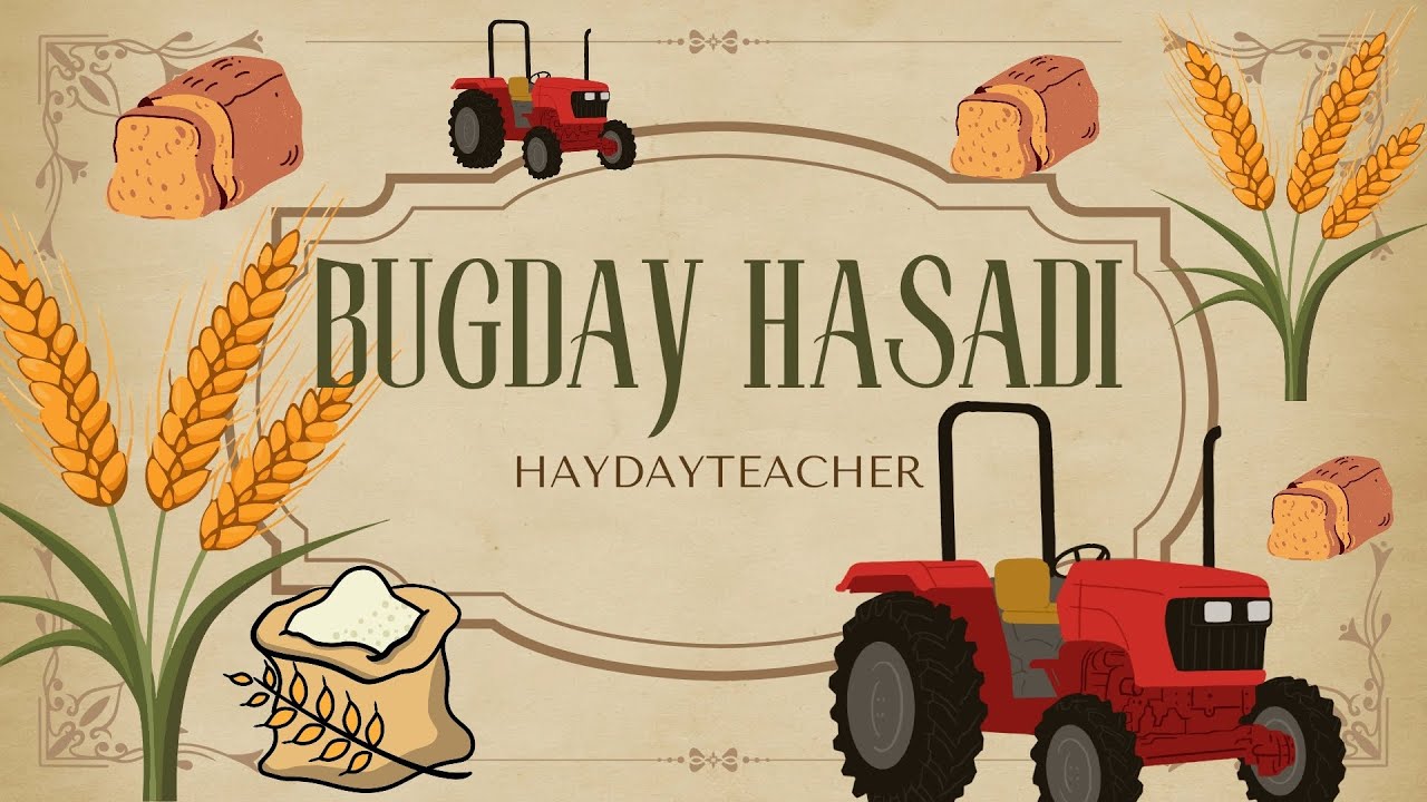 KRİTİK NOKTA: BUĞDAY`IN ÖNEMİ! (Hay Day Çiftlik) #hayday