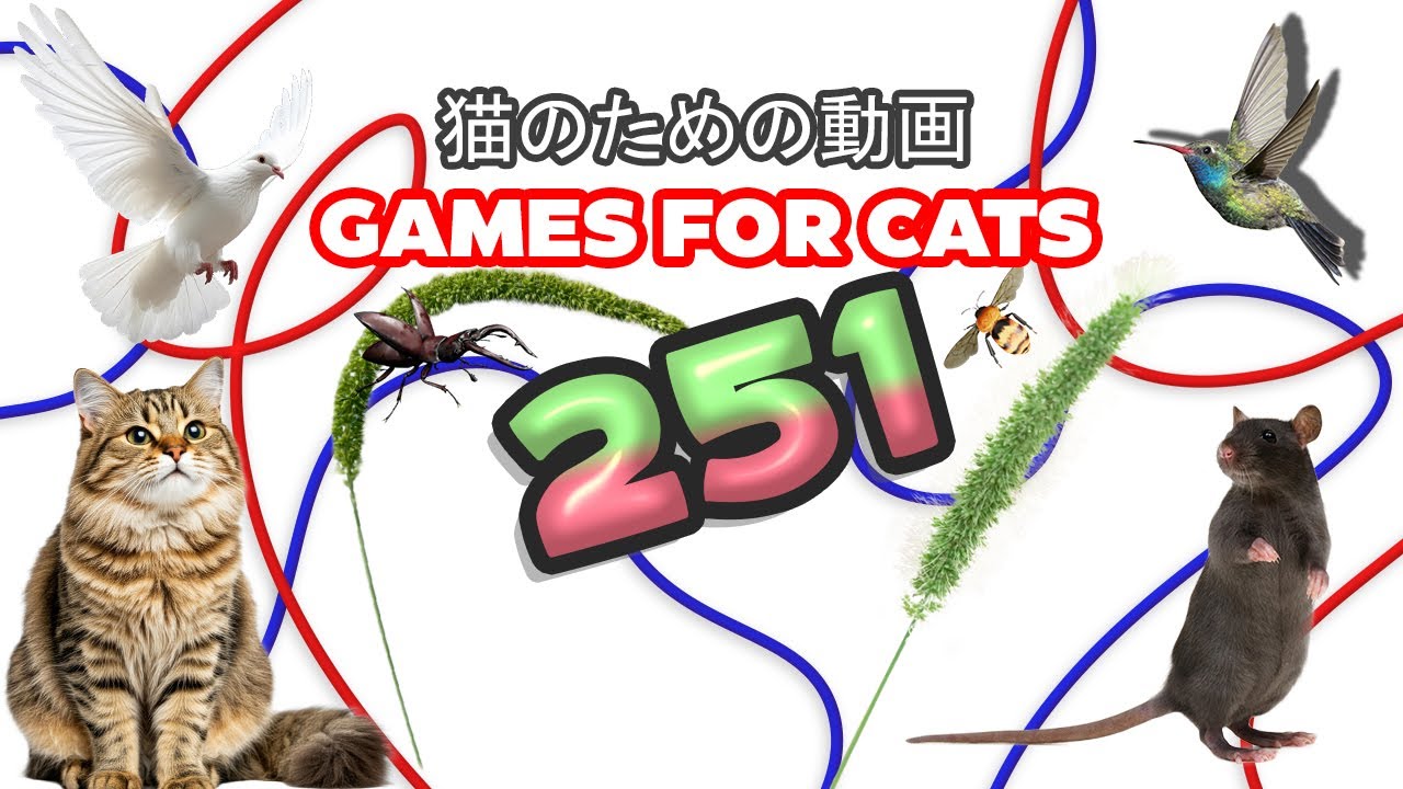 【猫向け動画 MIX 251】ネズミ、 トカゲ、鳥、 ヒモ 3時間 GAME FOR CATS 251 🐱✨ 🌟🐟